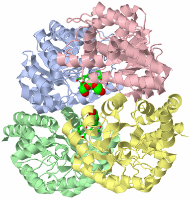 Image Asym./Biol. Unit - sites