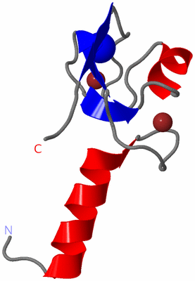 Image Asymmetric Unit