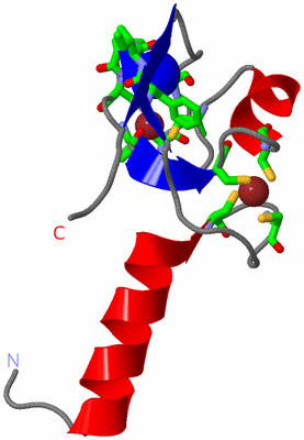 Image Asym. Unit - sites