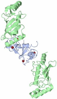 Image Biological Unit 1