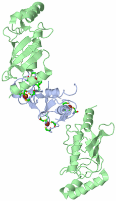 Image Biol. Unit 1 - sites