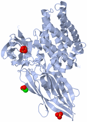 Image Biological Unit 1