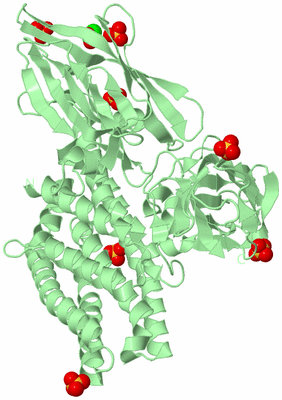 Image Biological Unit 2