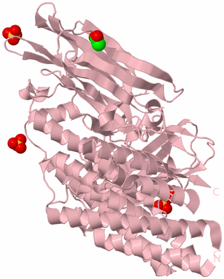 Image Biological Unit 3