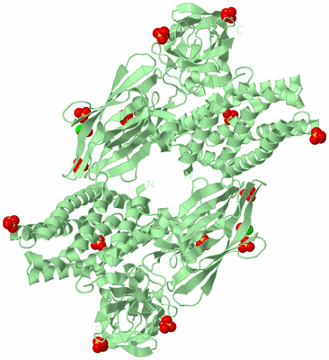 Image Biological Unit 4