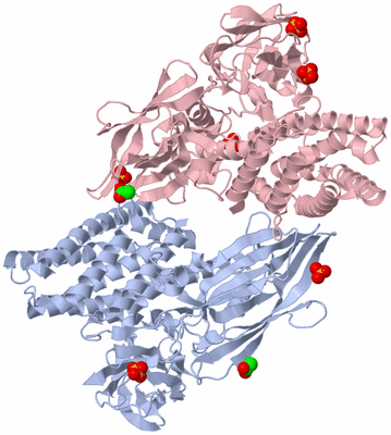 Image Biological Unit 5