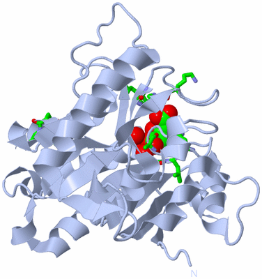 Image Biol. Unit 1 - sites