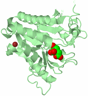 Image Biological Unit 2