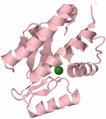 Image Biological Unit 3