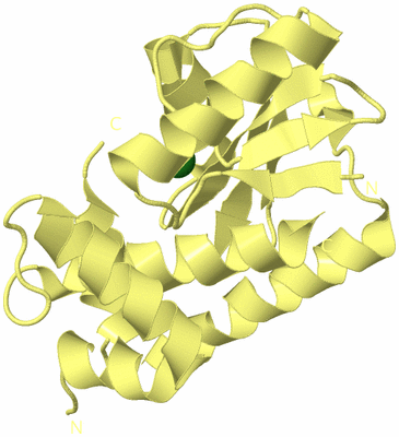 Image Biological Unit 4