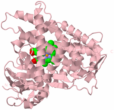 Image Biological Unit 3