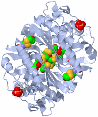 Image Biological Unit 1