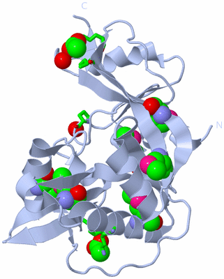 Image Biol. Unit 1 - sites