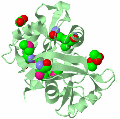 Image Biological Unit 2