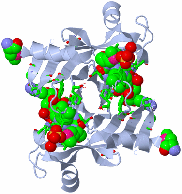 Image Biol. Unit 1 - sites