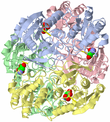 Image Asym./Biol. Unit