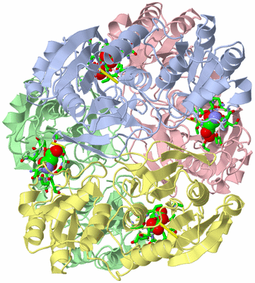 Image Asym./Biol. Unit - sites