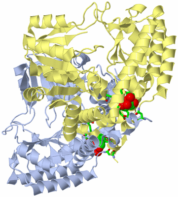 Image Biol. Unit 1 - sites