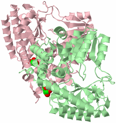 Image Biological Unit 2