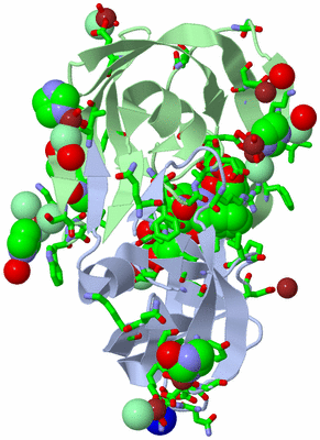 Image Asym./Biol. Unit - sites