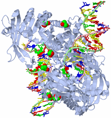 Image Biological Unit 1