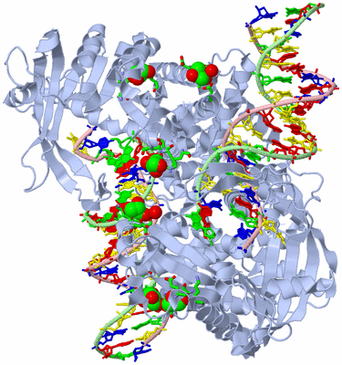 Image Biol. Unit 1 - sites