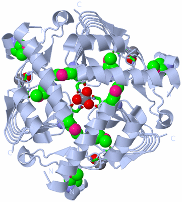 Image Biol. Unit 1 - sites