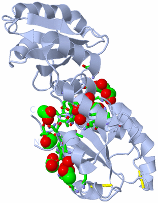 Image Biol. Unit 1 - sites