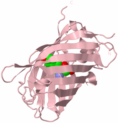 Image Biological Unit 3