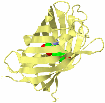 Image Biological Unit 4