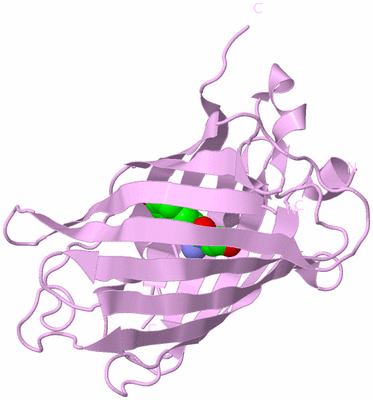 Image Biological Unit 5