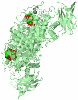 Image Biological Unit 2