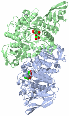 Image Asym./Biol. Unit