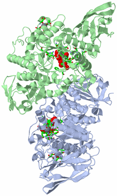 Image Asym./Biol. Unit - sites