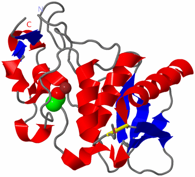 Image Asym./Biol. Unit