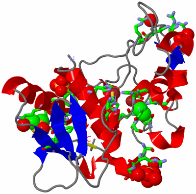 Image Asym./Biol. Unit - sites