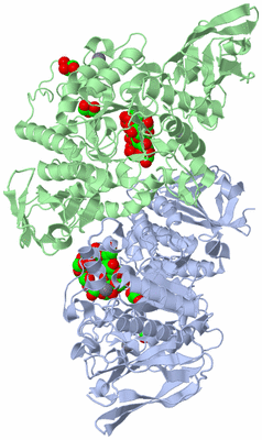 Image Asym./Biol. Unit