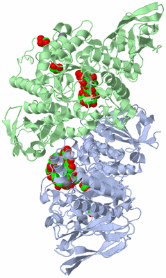 Image Asym./Biol. Unit