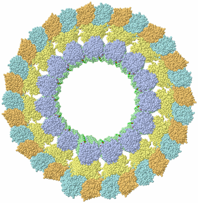 Image Biological Unit 1