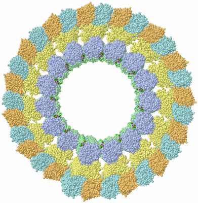 Image Biol. Unit 1 - sites