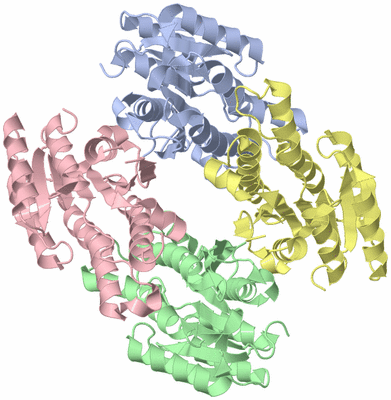 Image Asym./Biol. Unit