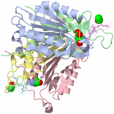 Image Asym./Biol. Unit