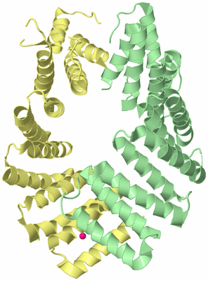 Image Biological Unit 2