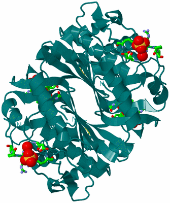 Image Biol. Unit 1 - sites