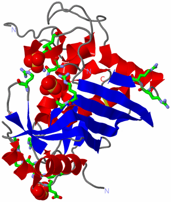 Image Asym. Unit - sites