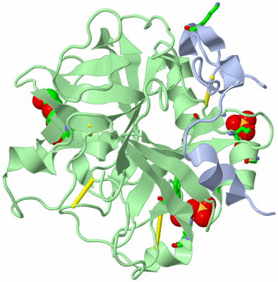 Image Biol. Unit 1 - sites