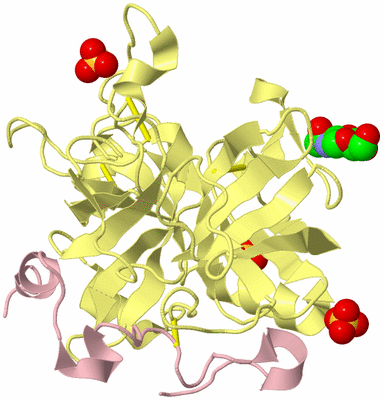 Image Biological Unit 2