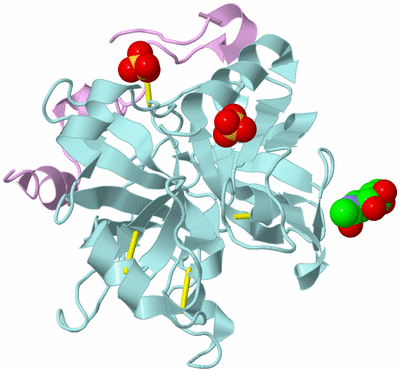 Image Biological Unit 3