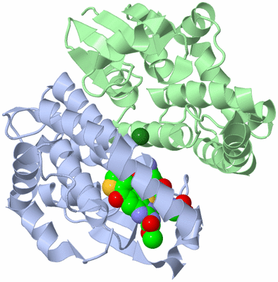 Image Asym./Biol. Unit