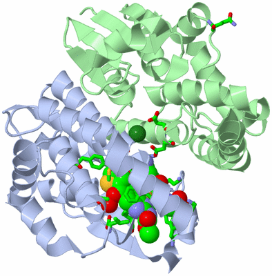 Image Asym./Biol. Unit - sites